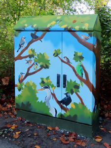 912236 Afbeelding van het onlangs door Milou van Montfort met vogels beschilderde elektriciteitskastje in het ...